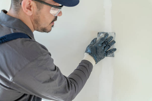 Best Airborne Mold Testing  in Killian, LA