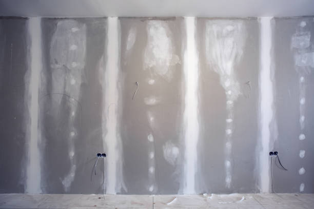 Professional Mold Removal in Killian, LA